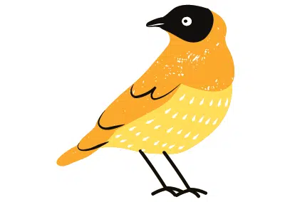 According to Yellow Bird